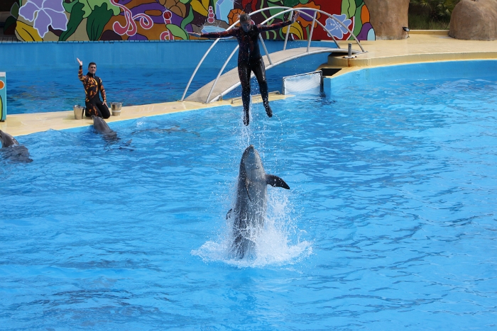 Marineland - Dauphins - 082